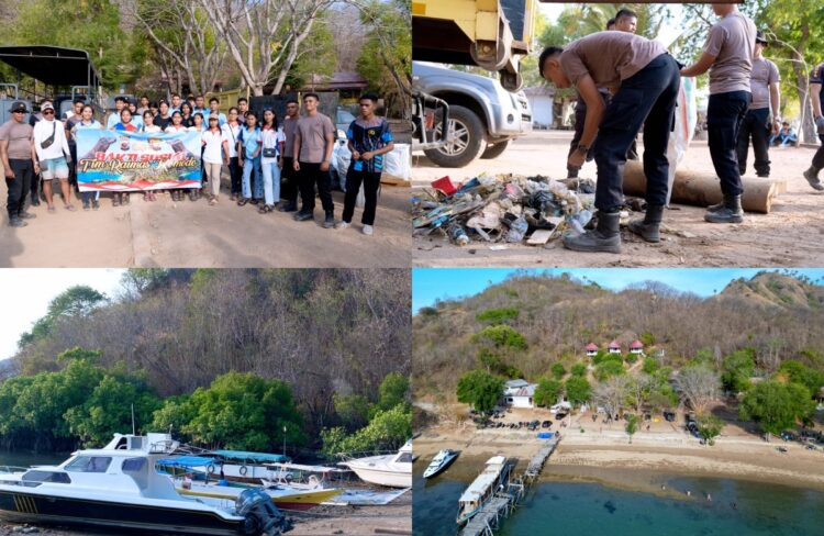 Peduli Kelestarian Lingkungan, Polisi Angkut 2 Ton Sampah dari Pantai Waecicu