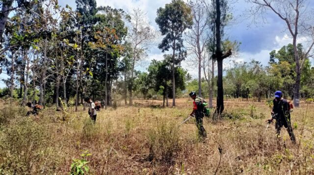 Semangat Gotong-Royong, Babinsa Koramil 01/Lewa Bantu Masyarakat Bersihkan Lahan Kosong untuk Persiapan Lahan Kebun
