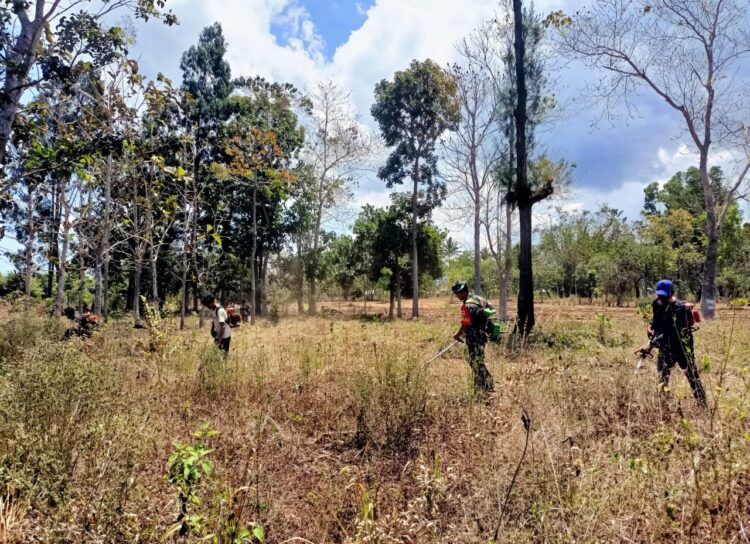 Semangat Gotong-Royong, Babinsa Koramil 01/Lewa Bantu Masyarakat Bersihkan Lahan Kosong untuk Persiapan Lahan Kebun Semangat Gotong-Royong, Babinsa Koramil 01/Lewa Bantu Masyarakat Bersihkan Lahan Kosong untuk Persiapan Lahan Kebun