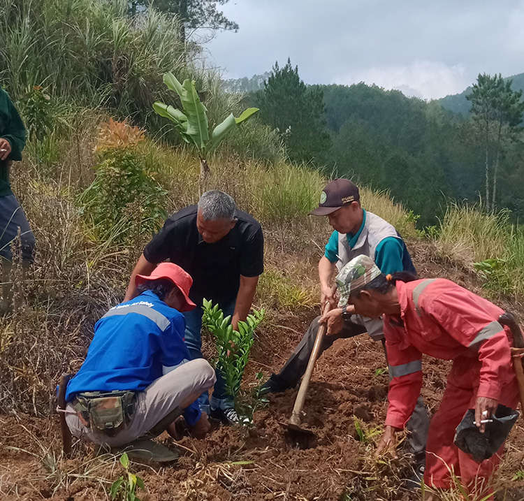 Bersama Dinas Kehutanan, Pemerintah Desa Kadipaten Laksanakan Program "Jumat Menanam"