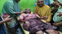 Kakek 70 Tahun Asal Simpasai Nyaris Tewas Di Serang Babi Hutan