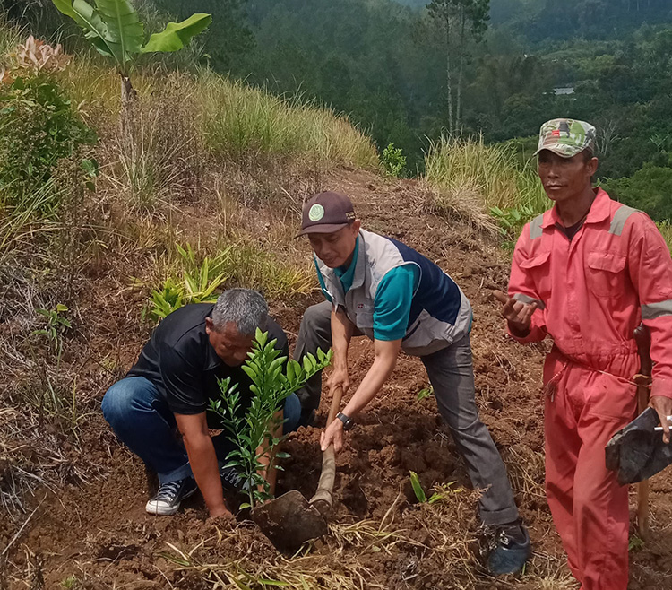 Bersama Dinas Kehutanan, Pemerintah Desa Kadipaten Laksanakan Program "Jumat Menanam"