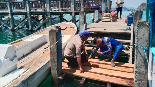 Polisi Peduli, Satpolairud Polres Mabar Perbaiki Lantai Papan Dermaga Biru Labuan Bajo