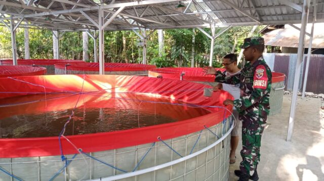 Babinsa Komsos Ketahanan Pangan Dengan Peternak Lele