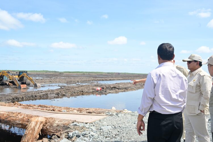 Presiden Prabowo Tinjau Kawasan Infrastruktur Lumbung Pangan di Wanam, Merauke