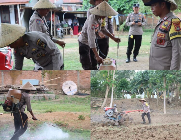 Presiden RI Canangkan Program Ketahanan Pangan, Polres Bima Olah Sawah di Polsek Belo