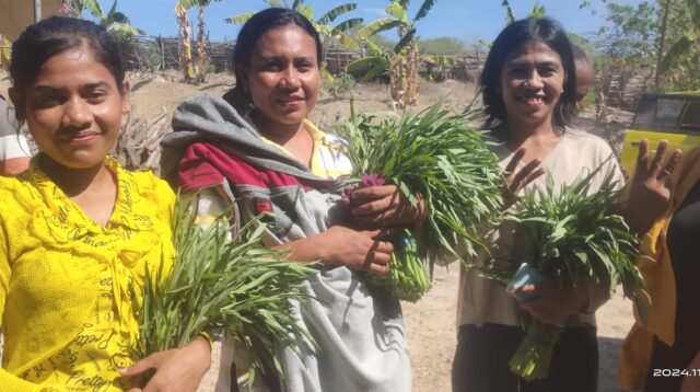 Semangat Dukungan Kaum Ibu Untuk Paket SOLID di Pilkada Sabu Raijua