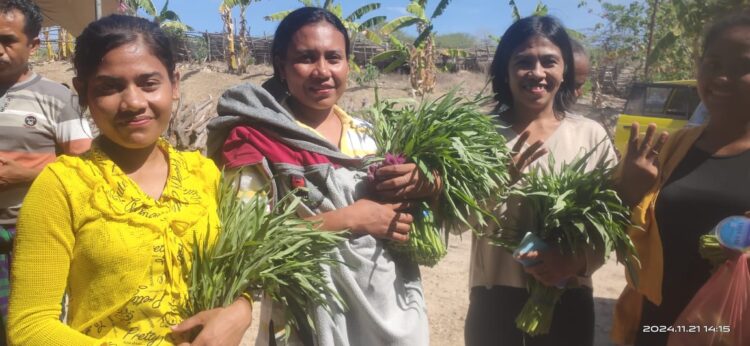 Semangat Dukungan Kaum Ibu Untuk Paket SOLID di Pilkada Sabu Raijua
