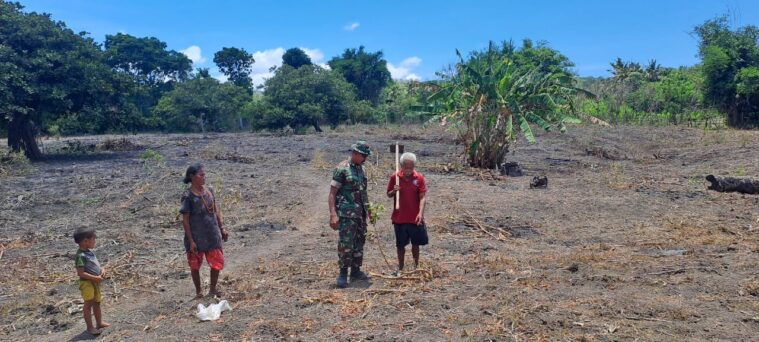 Babinsa Karera Membantu Warga Binaan Mempersiapkan Lahan Di Desa Binaannya