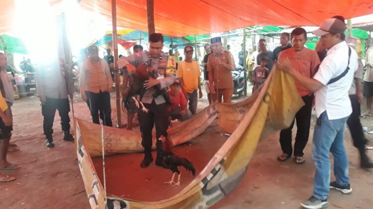 Polsek Woha Grebek Judi Sabung Ayam Di Desa Nisa, Para Pelaku Lari Tunggang Langgang