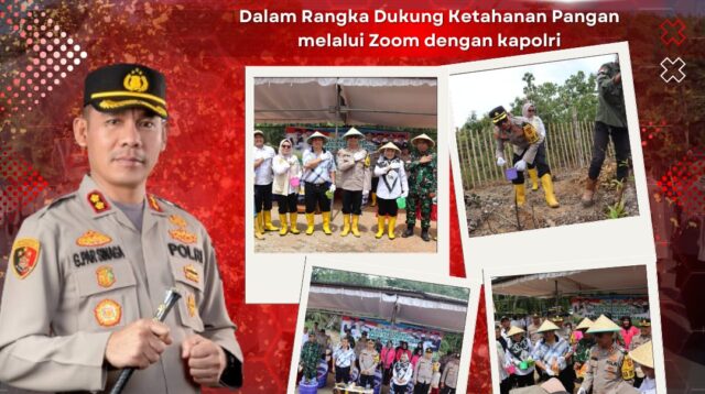 Dukung Program Ketahanan Pangan Polres Lahat Dan Kodim 0405 Lahat Bersinergi Tanam Jagung di Desa Bunga Mas Lahat