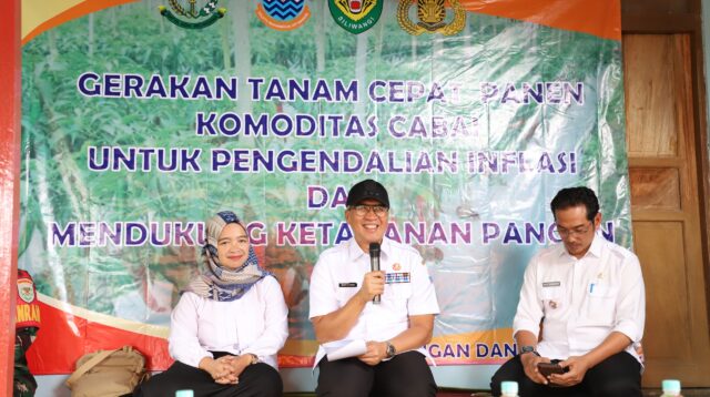 Gertam Parti: Upaya Pemkot Cimahi Tingkatkan Produksi Cabai