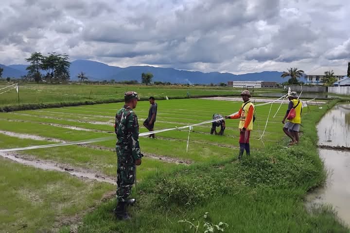 Babinsa 1608-04/Woha Pantau Kegiatan Pertanian di Desa Talabiu