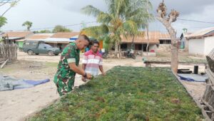 Babinsa Koramil 03 /Pahunga Lodu Komsos Dengan Pembudidaya Rumput Laut