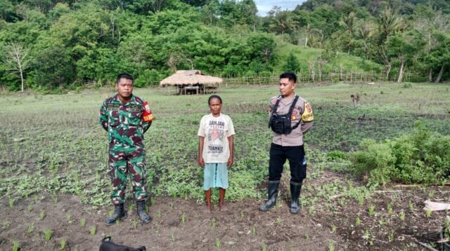 Babinsa Bersama Bhabinkamtibmas Melakukan Peninjauan Tanaman Padi Di Wilayah Binaan