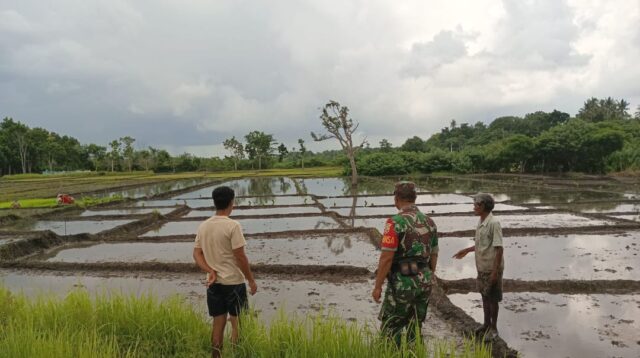 Babinsa Serka Daniel Melaksanakan Komsos Dengan Petani Di Desa Binaannya