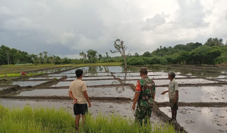 Babinsa Serka Daniel Melaksanakan Komsos Dengan Petani Di Desa Binaannya