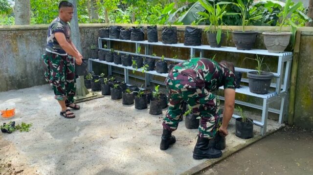 Demi Meningkatkan Ketahanan Pangan Danramil 1218 Cikatomas Buat Apotik Hidup Yang Ditanami Sayuran Di pekarangan Kantor,
