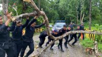 Tak Kenal Lelah, Anggota Brimob Kompi 3 Batalyon C Pelopor Sumba Tengah Evakuasi Pohon Yang Tumbang Dihutan Tana Daru