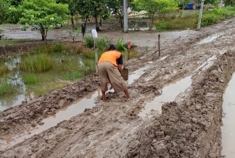 SPM Kecam Pemerintah OKI: Jalan Rusak Air Sugihan Bukti Gagalnya Tata Kelola Infrastruktur AIR SUGIHAN, KABUPATEN OGAN KOMERING ILIR (OKI), SUMATERA SELATAN – Hujan deras yang melanda Kabupaten Ogan Komering Ilir (OKI) beberapa hari terakhir telah membuka luka menganga: infrastruktur jalan yang memprihatinkan di Air Sugihan. Jalan-jalan utama, yang seharusnya menjadi urat nadi perekonomian desa, kini berubah menjadi kubangan lumpur yang melumpuhkan aktivitas warga. Lebih dari sekadar ketidaknyamanan, ini adalah bencana infrastruktur yang berdampak luas pada kehidupan sosial dan ekonomi masyarakat. Laporan dari warga Desa Simpang Heran dan Desa Kertamukti, yang disampaikan melalui media Trans Kapuas, mengungkapkan keprihatinan mendalam atas kondisi jalan yang telah rusak parah selama bertahun-tahun. Mereka mendesak pemerintah untuk segera mengambil tindakan. (Sumber: Trans Kapuas) Kegagalan pemerintah daerah dalam menyediakan infrastruktur dasar ini bukan hanya cerminan dari buruknya perencanaan dan pengelolaan anggaran, tetapi juga indikasi kuat dari lemahnya tata kelola pemerintahan di Kabupaten OKI. Ketidakhadiran tanggapan resmi dari Dinas Pekerjaan Umum dan Penataan Ruang (PU Kimpraswil) serta upaya konfirmasi yang belum membuahkan hasil kepada anggota DPRD OKI dari Desa Simpang Heran, Bapak Sugeng, (Sumber: Trans Kapuas) semakin memperkuat anggapan tersebut. Kebungkaman pejabat publik di tengah penderitaan rakyat menimbulkan kecurigaan akan adanya ketidaktransparanan dan bahkan potensi penyimpangan yang lebih serius. Serikat Pemuda dan Masyarakat Sumatera Selatan (SPM), di bawah koordinasi Yovi Meitaha Senin/27/01/2025 Pukul 15:30 WIB Di Kediamannya, telah meluncurkan kecaman keras terhadap Pemerintah Kabupaten OKI. Dalam Wawancara bersama media SERGAP CO id , SPM tidak hanya menyatakan kegagalan total pemerintah dalam menjalankan amanahnya, tetapi juga secara tegas menuding adanya indikasi ketidakpedulian dan bahkan potensi korupsi yang perlu diselidiki. "Jalan rusak di Air Sugihan bukan hanya masalah infrastruktur, tetapi bukti nyata dari pemerintahan yang gagal melayani rakyat," tegas Yovi . "Kami menuntut audit investigasi yang transparan dan penindakan hukum terhadap pihak-pihak yang bertanggung jawab," lanjutnya. SPM telah merumuskan tuntutan yang komprehensif, termasuk perbaikan jalan secara menyeluruh dan berkelanjutan, audit investigasi penggunaan anggaran infrastruktur, penindakan tegas terhadap pihak yang bertanggung jawab, dan pembangunan sistem drainase yang memadai. Ancaman aksi demonstrasi semakin menggarisbawahi keseriusan SPM dalam memperjuangkan hak-hak masyarakat Air Sugihan. Peristiwa di Air Sugihan ini bukan sekadar masalah jalan rusak. Ini adalah studi kasus yang memprihatinkan tentang lemahnya tata kelola pemerintahan dan pembangunan di Indonesia. Keberadaan infrastruktur yang memadai merupakan hak dasar warga negara, dan kegagalan pemerintah dalam menjaminnya merupakan pelanggaran serius terhadap hak-hak tersebut. Kebungkaman pemerintah di tengah penderitaan rakyat merupakan indikator kuat dari sistem yang perlu direformasi secara mendalam.(Wan)