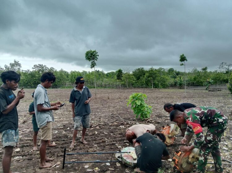 Wujudkan Ketahanan Pangan, Babinsa Pahunga Lodu Bantu Petani Tanam Padi