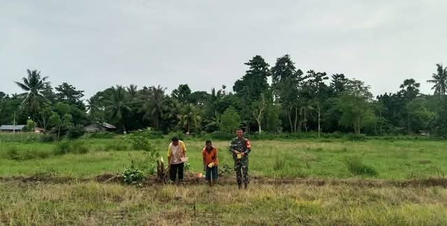Tingkatkan Ketahanan Pangan, Babinsa Koramil 05/Waingapu Bantu Warga Binaan Tanam Jagung