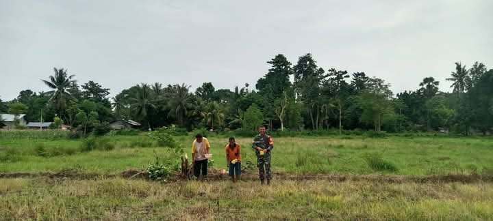 Tingkatkan Ketahanan Pangan, Babinsa Koramil 05/Waingapu Bantu Warga Binaan Tanam Jagung