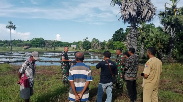 Dandim 1601/Sumba Timur Bersama Dinas Pertanian langsung Cek Lahan Rencana Peluasan Tanam