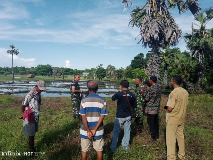 Dandim 1601/Sumba Timur Bersama Dinas Pertanian langsung Cek Lahan Rencana Peluasan Tanam