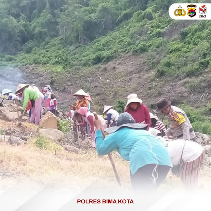 Suport Ketahanan Pangan, Bhabinkamtibmas Desa Sumi Bantu Petani Tanam Palawija