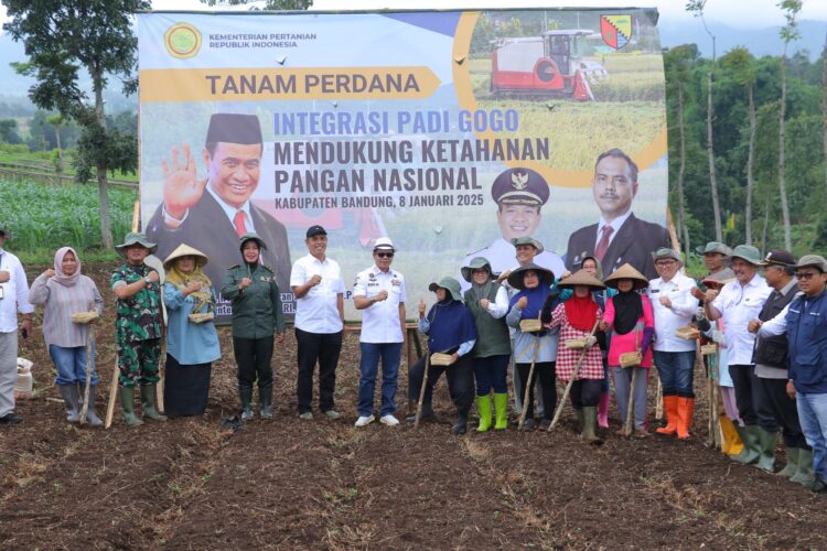 Dukung Ketahanan Pangan Prabowo, Kang DS Luncurkan Penanaman Padi Gogo di Arjasari Dukung Ketahanan Pangan Prabowo, Kang DS Luncurkan Penanaman Padi Gogo di Arjasari