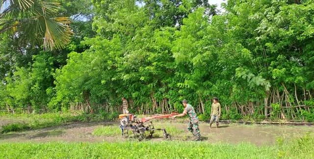 Babinsa Koramil 06/Karera Bantu Petani Desa Binaan Garap Sawah