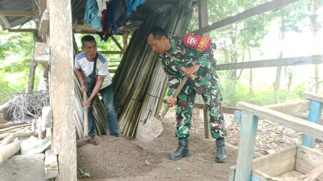 Dukung Ketahanan Pangan Babinsa Rindi Umalulu Bantu Buat Pupuk Kompos Mandiri