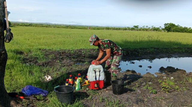 Babinsa Serka Fajarudin Laksanakan Penyemprotan Rumput untuk Persiapan Tanam Semangka