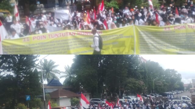 Forum Tenaga Honorer Lahat Gelar Aksi Tuntut Pengangkatan PPPK