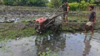 Dukung Ketahanan Pangan, Babinsa Bantu Garap Lahan Sawah