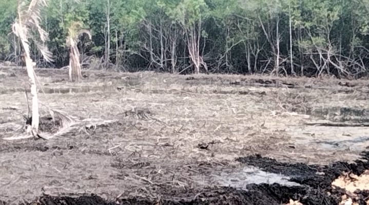 Aktivitas Penimbunan Lahan Yang Telah Berizin Di Desa Pengujan, Perlu Kajian