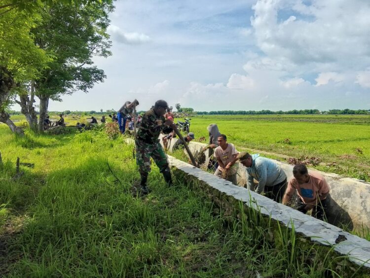 Babinsa Koramil 03/Pahunga Lodu, Bersama Warga Gotong Royong Bersihkan Selokan Irigasi Babinsa Koramil 03/Pahunga Lodu, Bersama Warga Gotong Royong Bersihkan Selokan Irigasi