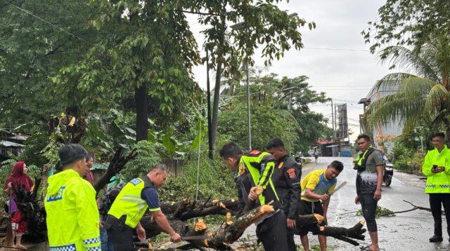 Siaga Bencana, Polisi Kembali Bersihkan Pohon Tumbang di Labuan Bajo