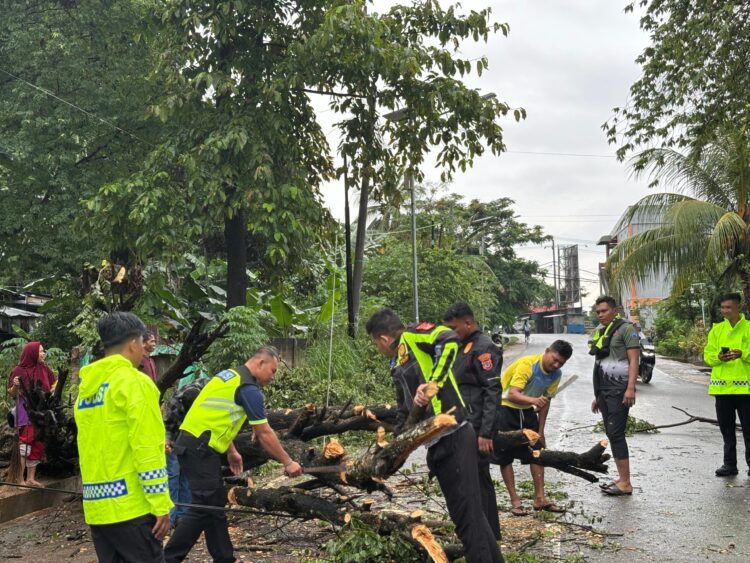 Siaga Bencana, Polisi Kembali Bersihkan Pohon Tumbang di Labuan Bajo