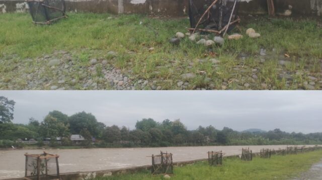 ,Dinas Lingkungan Hidup (DLH) Lahat Kembali Hijaukan Taman Tepian Ayek Lematang