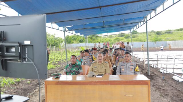 Wakili Dandim,Kasdim 1601/ST Hadiri Penanaman Jagung Serentak 1 Juta Hektar