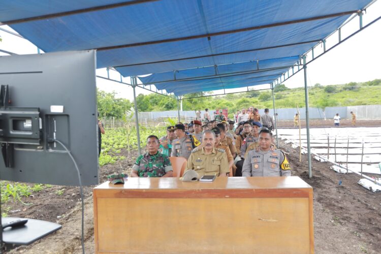 Wakili Dandim,Kasdim 1601/ST Hadiri Penanaman Jagung Serentak 1 Juta Hektar