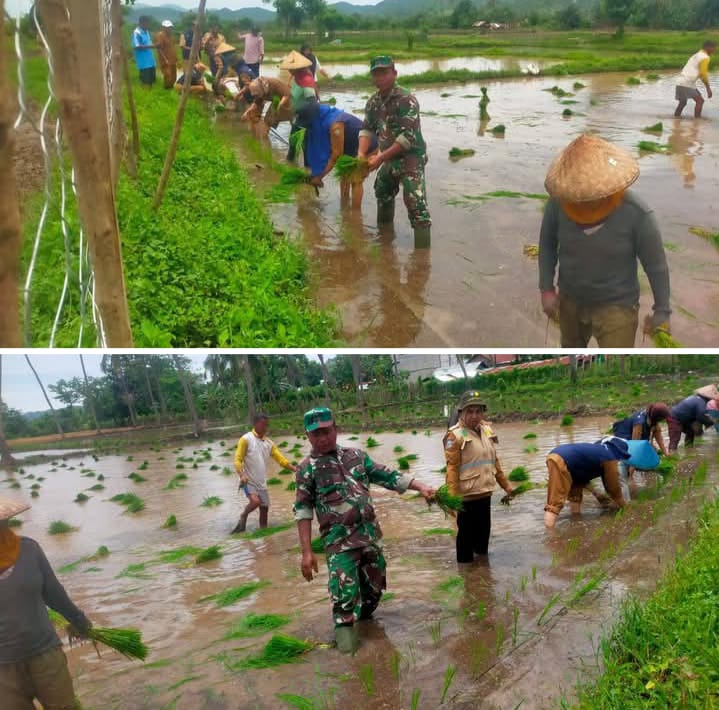 Dukung Gerakan Tanam Jagung Serentak 1 Juta Hektar