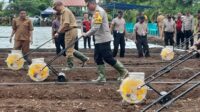 Polri Serentak Tanam Jagung 1 Juta Hektar, Polres Sumba Timur Ikut Sukseskan Swasembada Pangan