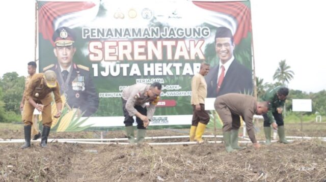 Kapolres Belu dan Wakil Bupati Gelar Penanaman Jagung 1 Juta Hektar Dukung Swasembada Pangan