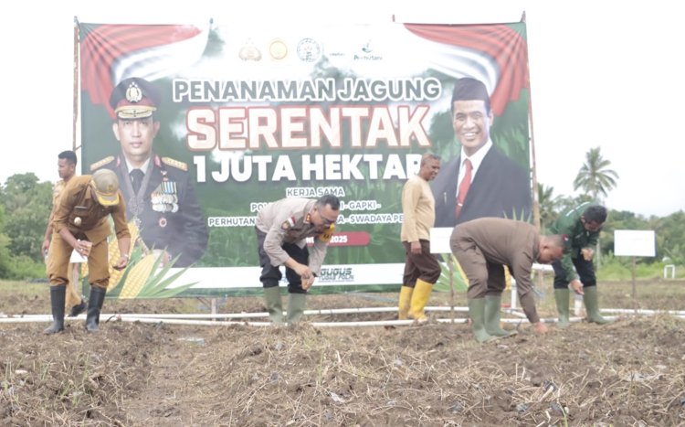 Kapolres Belu dan Wakil Bupati Gelar Penanaman Jagung 1 Juta Hektar Dukung Swasembada Pangan