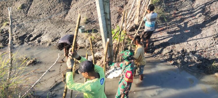 Babinsa Membantu Karyawan Asiabeef Membuat Pagar Yang Rusak Di Desa Lailanjang