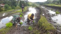 Babinsa Rindi Umalulu Bantu Petani Tanam Padi Di Desa Praibakul