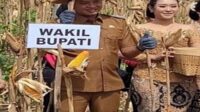 Wakil Bupati Blitar Beky Herdiansah Hadiri Panen Raya Jagung di Desa Balerejo